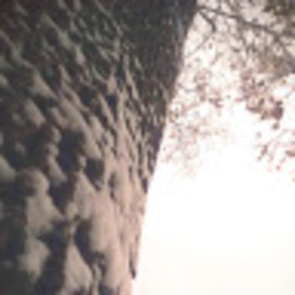 Meet your Posher, Miriam